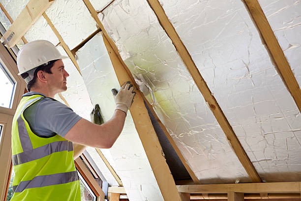 Best Residential Insulation in Belle Glade, FL